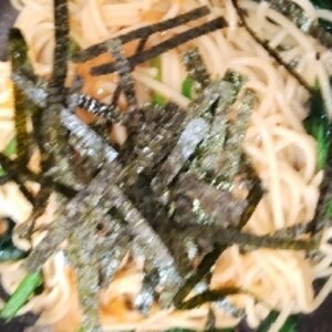 粒うにの和風パスタ